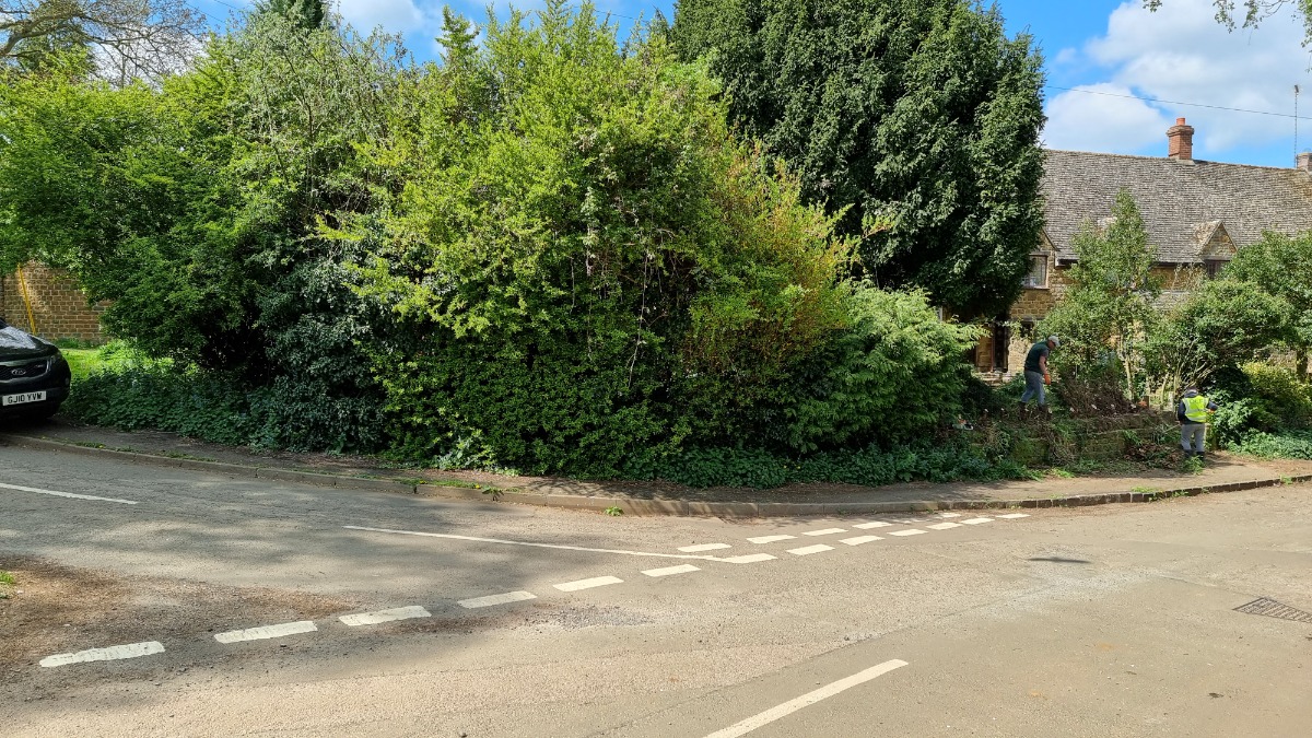 Landscaper: Image 25